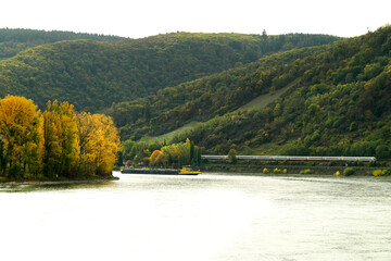 Fototapeta na wymiar Der Rhein bei Boppard im Herbst mit Frachtschiff und Schnellzug im Hintergrund - Stockfoto