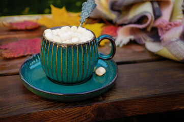 healthy hot drink to keep you warm on cold autumn days. Hot cocoa chocolate in a beautiful Cup with...