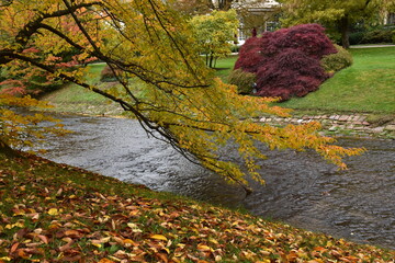 Goldener Herbst im Kurpark in Baden-Baden