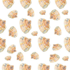 Seashells watercolor on a white background. Seashells. Ocean and sand. Seamless pattern, background, texture