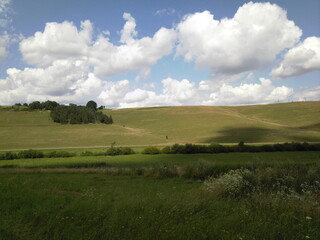Fototapeta premium field and blue sky