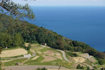 Niigata,Japan-October 20, 2020: Iwakubi Shoryu rice terraces in Sado island, Japan
