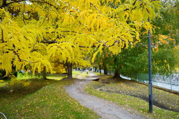 Obraz premium Amazing Autumn in Martigny, Canton of Valais, Switzerland
