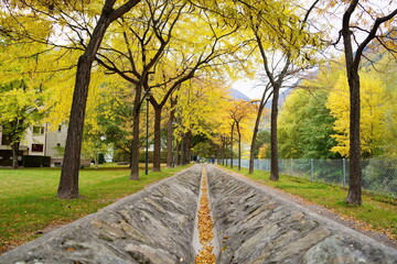 Fototapeta premium Amazing Autumn in Martigny, Canton of Valais, Switzerland