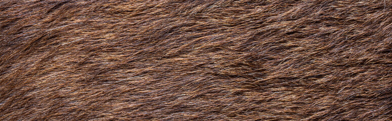close up of brown fur texture