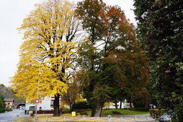 Amazing Autumn in Martigny, Canton of Valais, Switzerland
