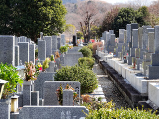 共同墓地