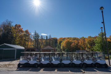 天気の良い日に紅葉の側にあるゴルフカート　カナダ　オンタリオ州