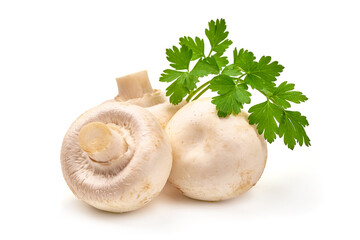 Champignons, close-up, isolated on white background