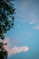 Obraz premium Bright blue sky with gray clouds. Sun rays. Vertical photo.