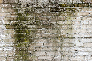 Brick wallpaper, texture. Background for creative design. The white block wall is covered with mold.