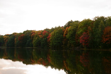Autumn trees on the lake in Shchelkovo farm