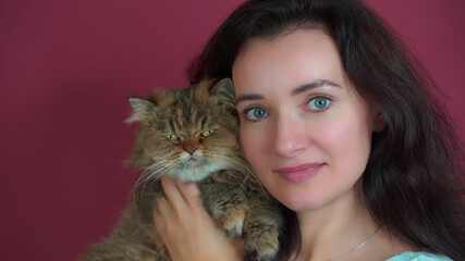 Cat with an angry funny face in the arms of a young beautiful mistress