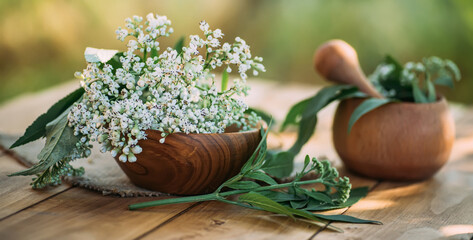 Fresh valerian flowers in wooden plate on table. mortar with prepared potion of valerian root. use of medicinal plants in traditional medicine.