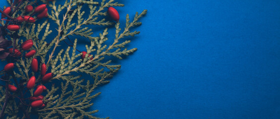 Fototapeta na wymiar Christmas composition. Red berries, green flowers on blue background. Christmas, winter, new year concept. Flat lay, top view stock photo