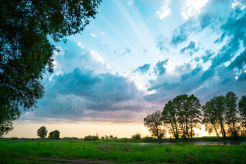 Panorama of the forest. Beautiful blue sky with clouds. Bright sunset