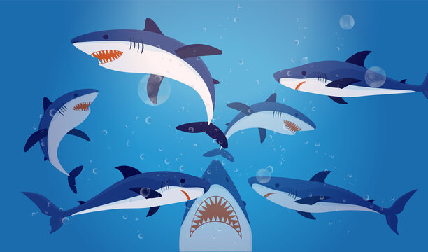 Sharks vector illustration - collection of sharks swimming under water.