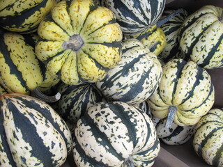 green white melons