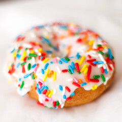 Single Vanilla Donut with Colorful Sprinkles