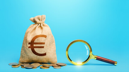 Euro money bag and magnifying glass. Revising the budget to save money. Financial audit control....