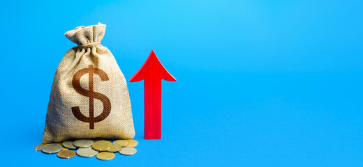 Dollar money bag with red arrow up. Increase in profitability and prosperity, higher living...
