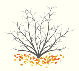 Autumn bush with fallen yellow leaves