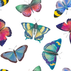 seamless botanical pattern. Multicolored butterflies on a white background. bright butterflies painted in watercolor, suitable for design, cards, packaging.