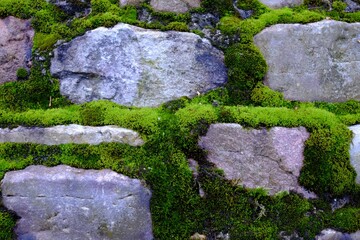 close up of stone wall with moss - 387479637