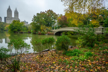 Bow bridge in early autumn