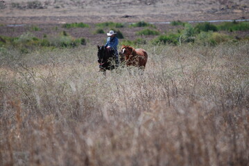 Obraz premium cowboy riding horse