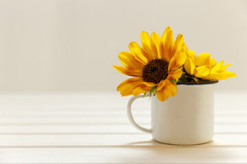 Mockup with enamel cup and sunflowers. Empty white cup with space for text, print or pattern. White...