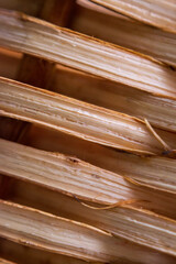 Macro Canasta de palma