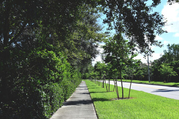 Walking Path Along Road through Lely Florida