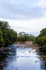 Fototapeta premium The overwhelming beauty of the flora and fauna of Costa Rica. Photos taken during a tour through this beautiful country, 
