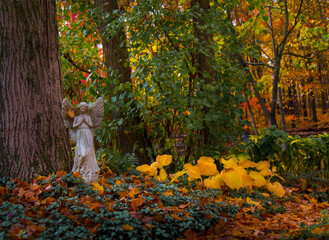 Fototapeta premium autumn hosta leaves on the ground with angel statue