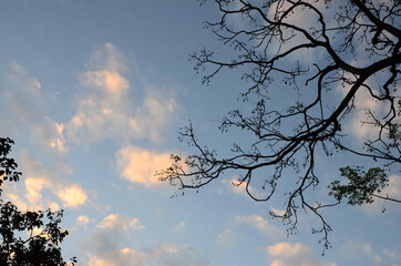 Beautiful sky and beautiful clouds.	