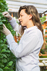 Hydroponic rockets farm. Portrait of professional woman at the hydroponic farm. Concept of healthy living and technology.