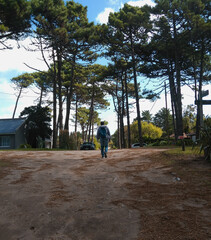 Fototapeta premium walking in the woods