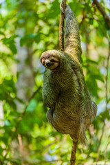 The overwhelming beauty of the flora and fauna of Costa Rica. Photos taken during a tour through this beautiful country,
