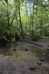 Orvault - Ville verte - La vallée du Cens