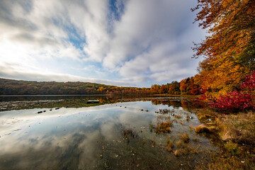 Obraz premium Trees in autumn colors reflect off Wixon Pond in Carmel, N.Y.