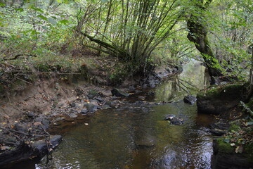 Obraz premium Orvault - Ville verte - La vallée du Cens