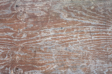 wood texture with natural pattern. timber material