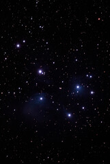 Fototapeta premium すばる