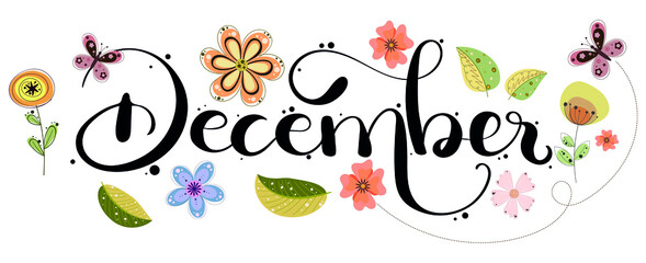 HELLO DECEMBER. December month hand lettering vector with butterflies, flowers and leaves. Floral decoration text. Decoration letters, Illustration December. 