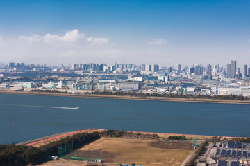Fototapeta premium 葛西臨海公園の観覧車から見た台場近辺のビル群