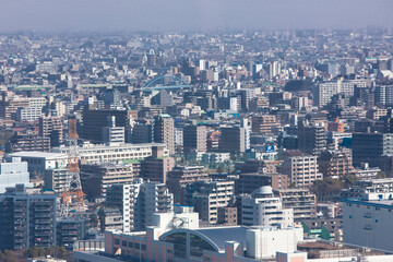 Fototapeta premium 葛西臨海公園の観覧車から見た葛西と江戸川区