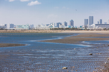 Naklejka premium 葛西海浜公園の西なぎさ