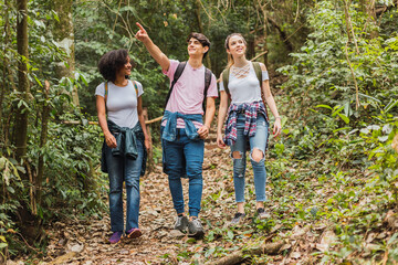 Hikers on a trail in the jungle. A group of tourists walking in the jungle. Concept of tourism and nature.