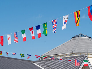 National flags of each country displayed at the athletic meet